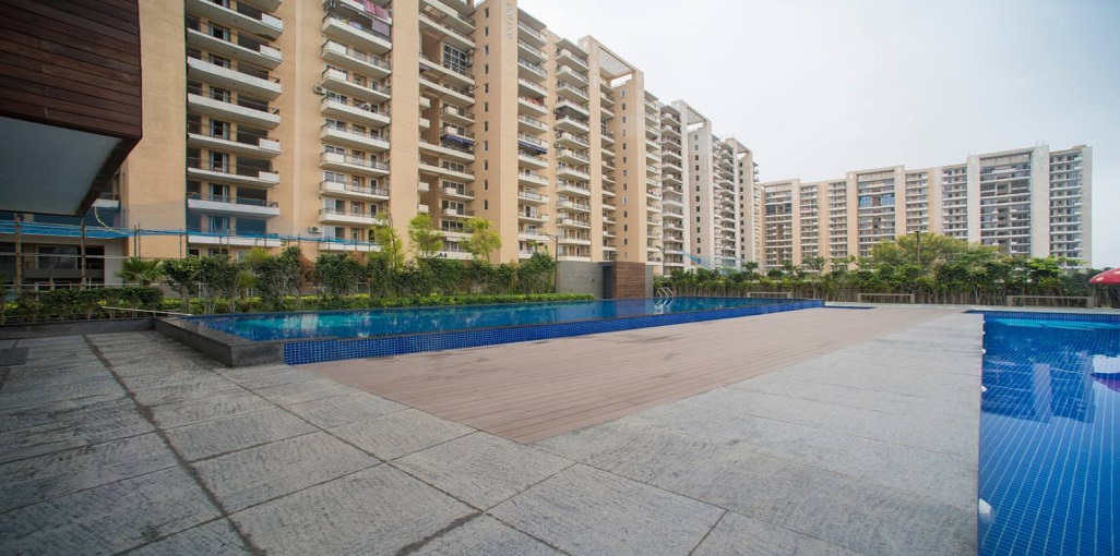 Tulip Violet A3 Tower