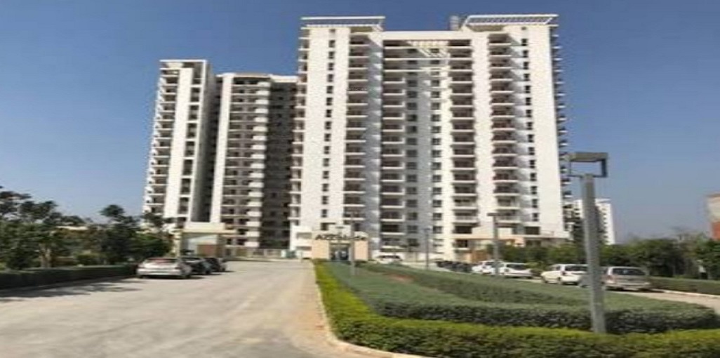 Maxworth City Residence