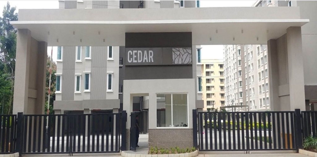 Brigade Orchards Cedar