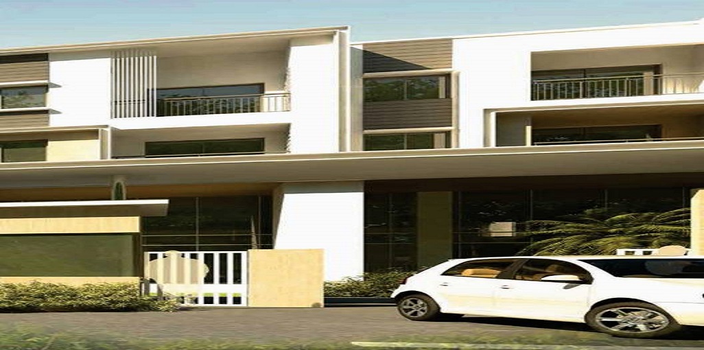 Gallery 2
