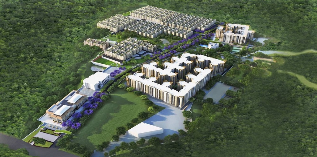 Brigade Meadows Basil