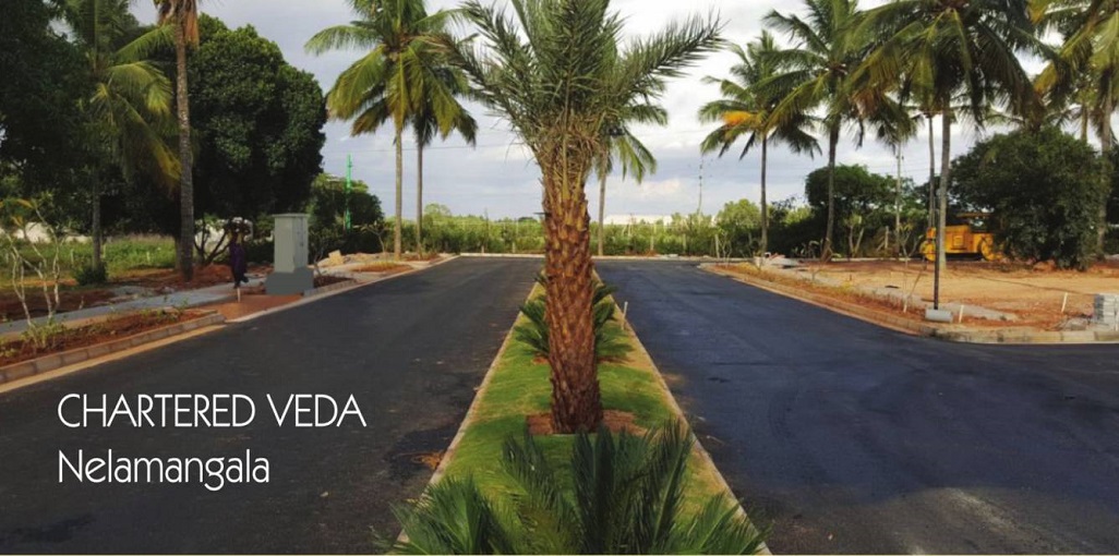 Chartered Woodpecker