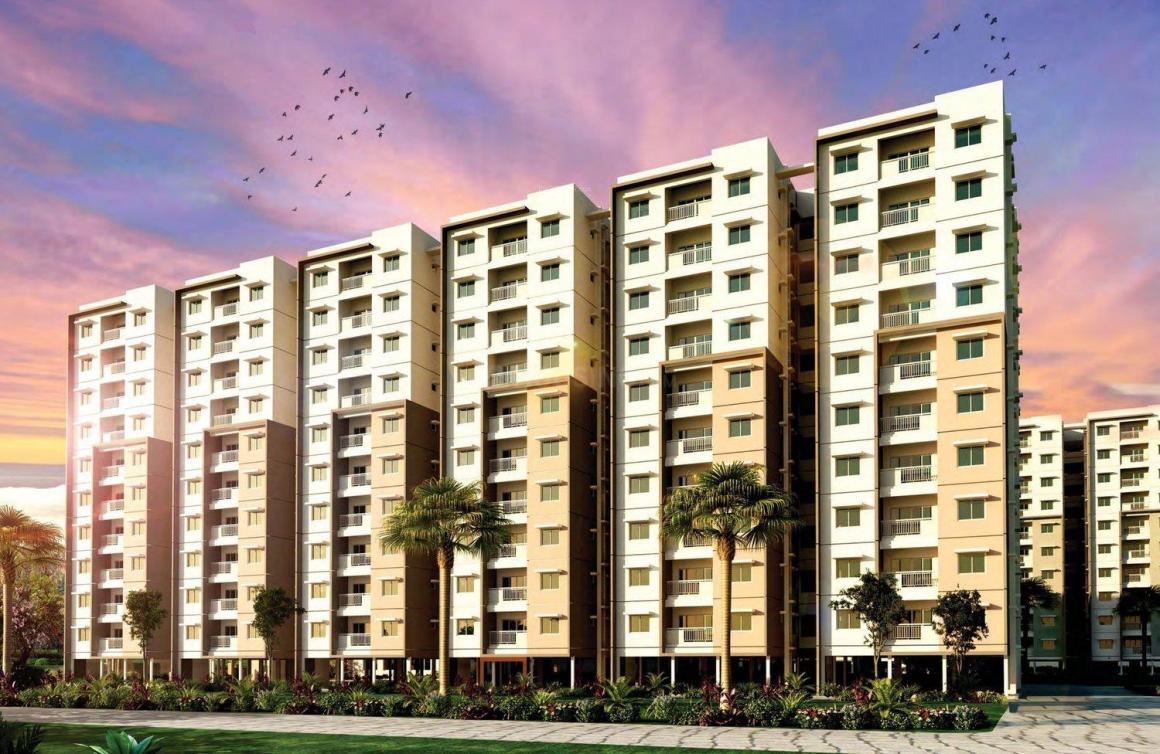 Provident Manhattan Pods And Condos