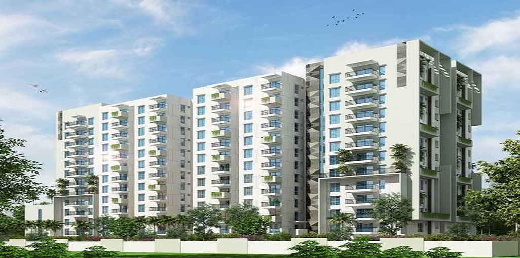 Ecstasy Trifecta Bueno