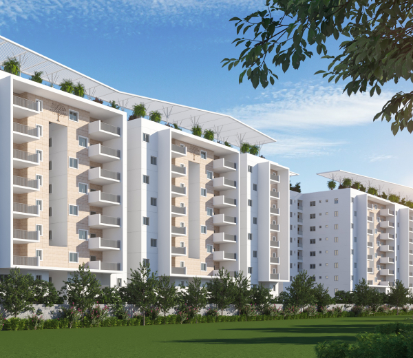 Shanta The Bodhi Vriksha