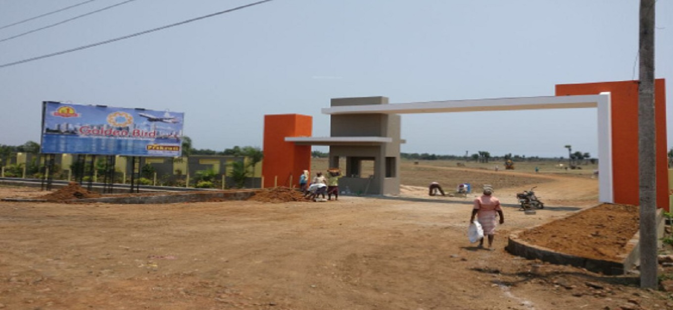 Prakruti Golden Bird