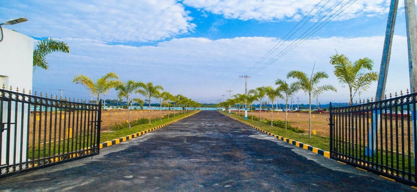 Charan Hill View Meadow