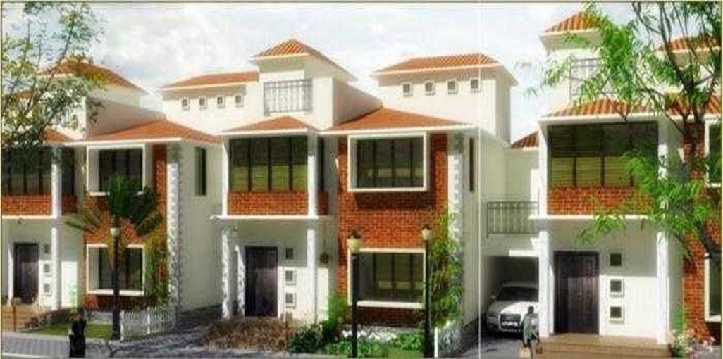 Samruddhi Lemon Tree