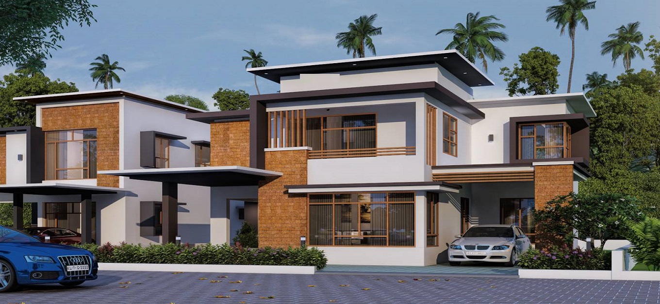 Malabar Orchid Spring