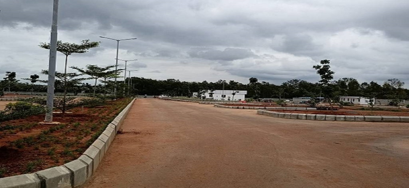 Trifecta Verde En Resplandor