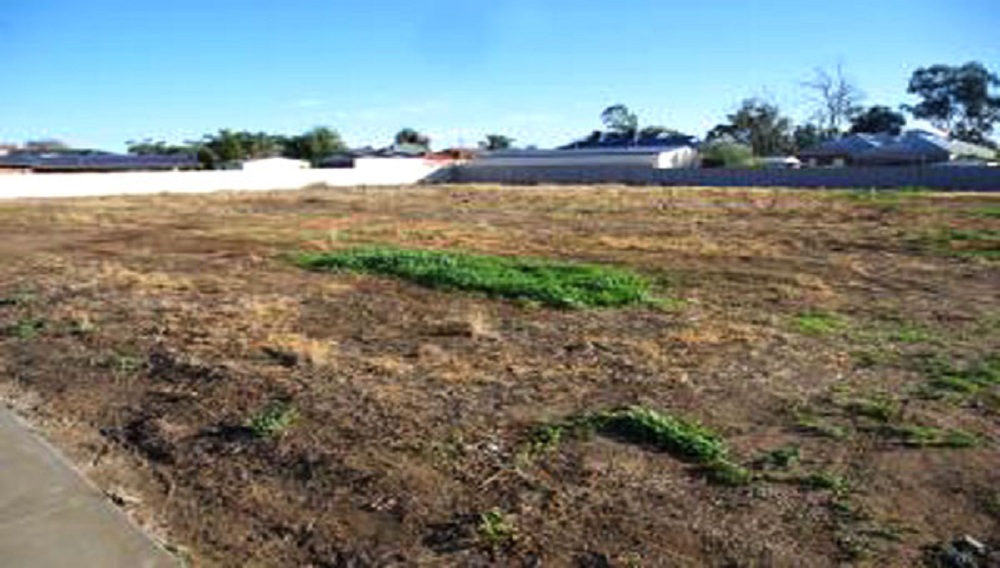 Renowned Nirman City