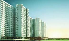 Rajput New Rajneegandha Greens