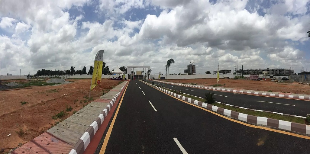 MS Sunny Green Woods