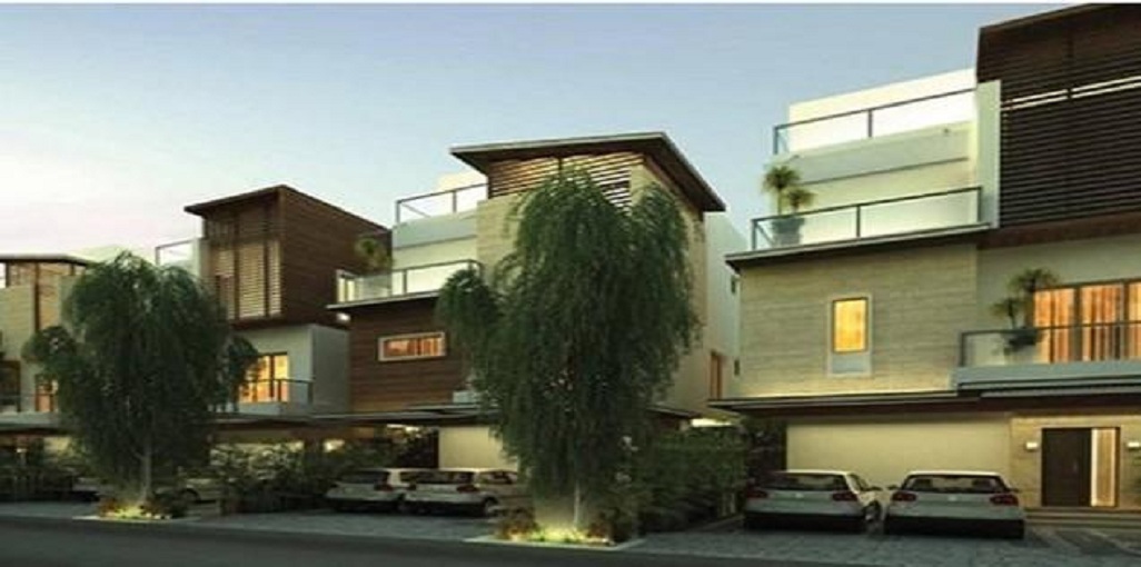 Artha Satori Platinum