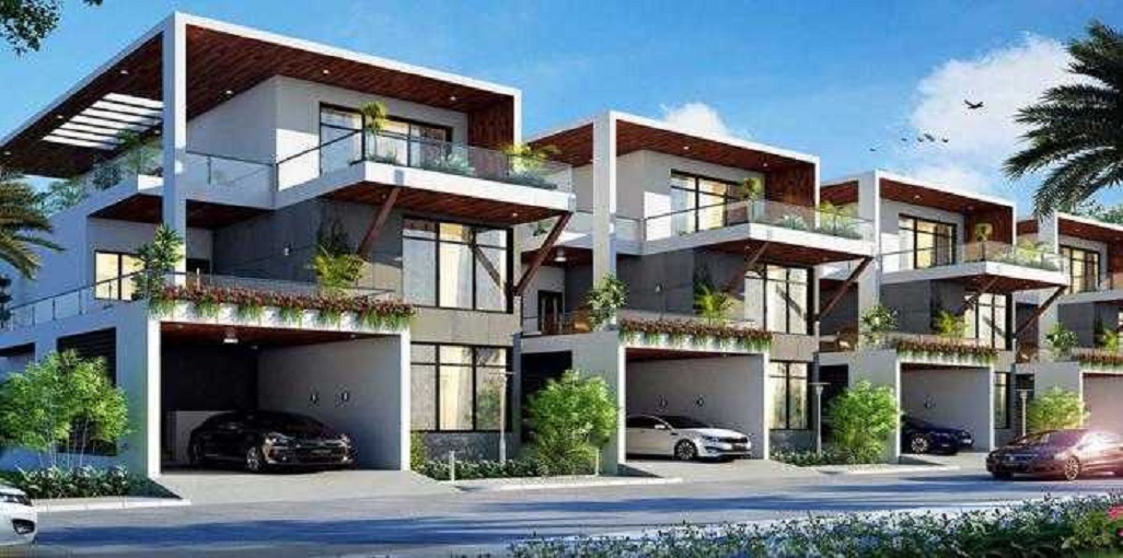 Cynosure Jyothi Woods