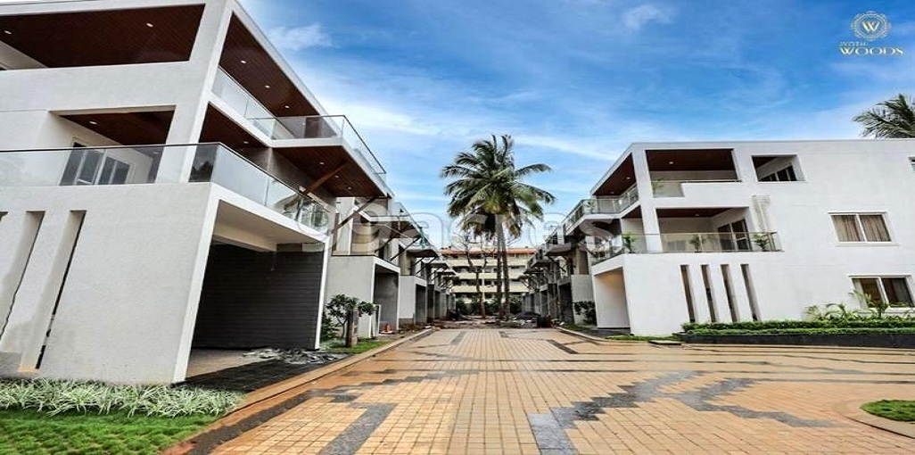 Cynosure Jyothi Woods