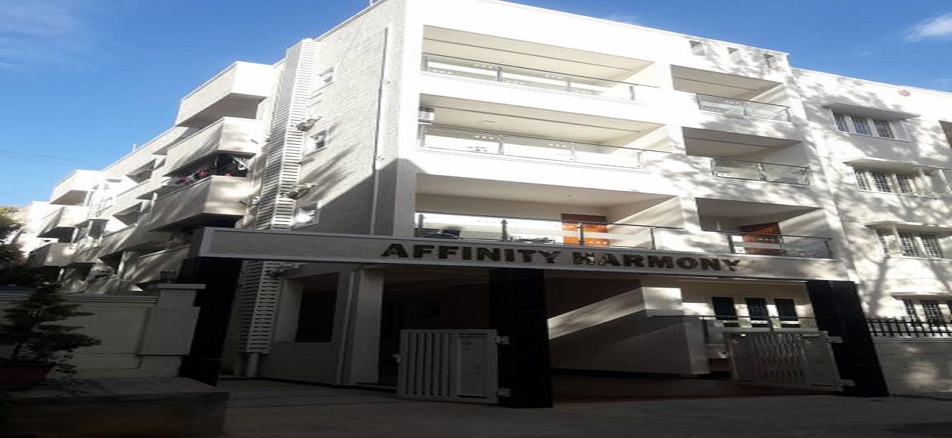 Affinity Affinity Harmony