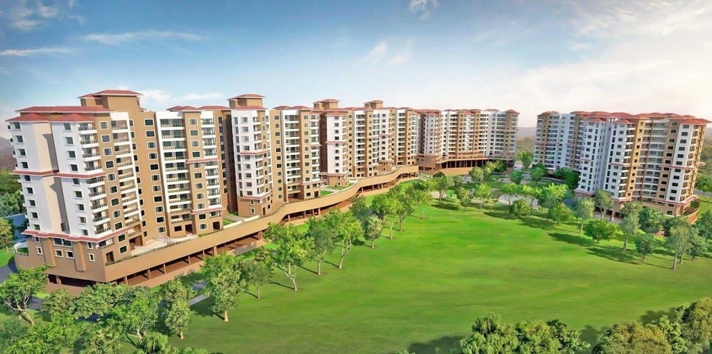 Paranjape Forest Trails Pebbles