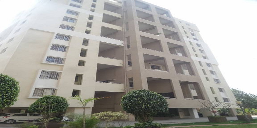 Ambiience Greendale Wing D