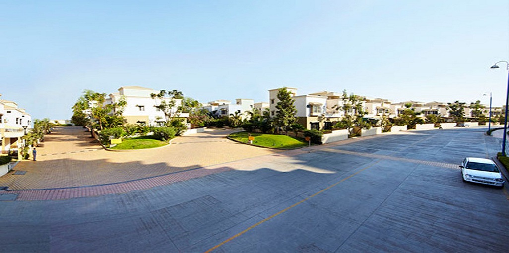 Pride Purple Emerald Park