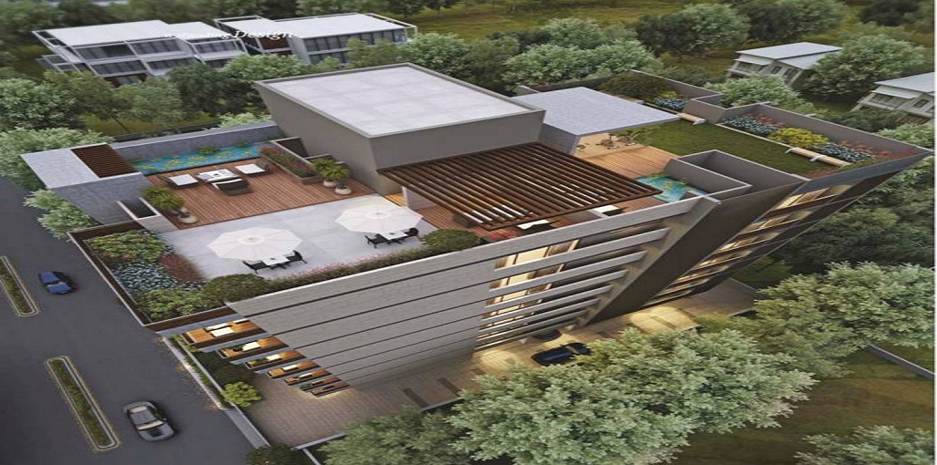 Krupa Shalin Bellevue