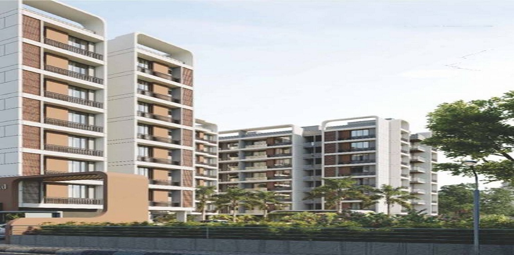 Maruti Auckland Hills