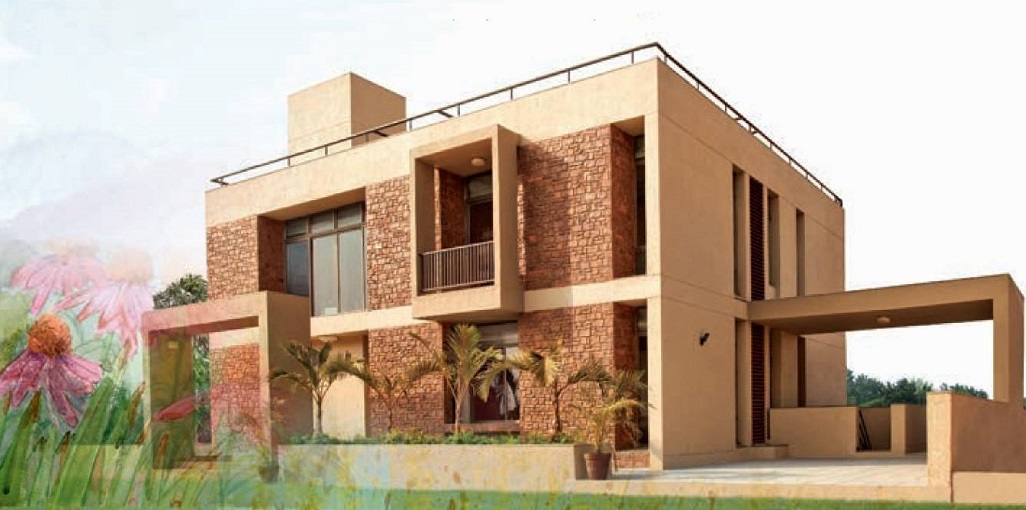 Applewoods Santolina