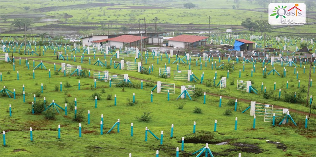 Mirador Oasis Estate Phase 2