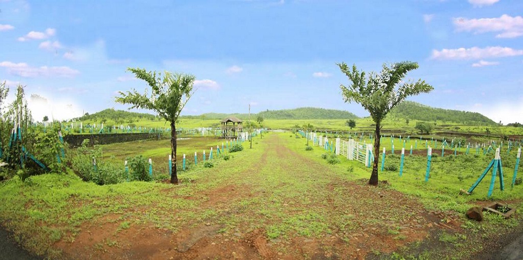 Mirador Oasis Estate Phase 2