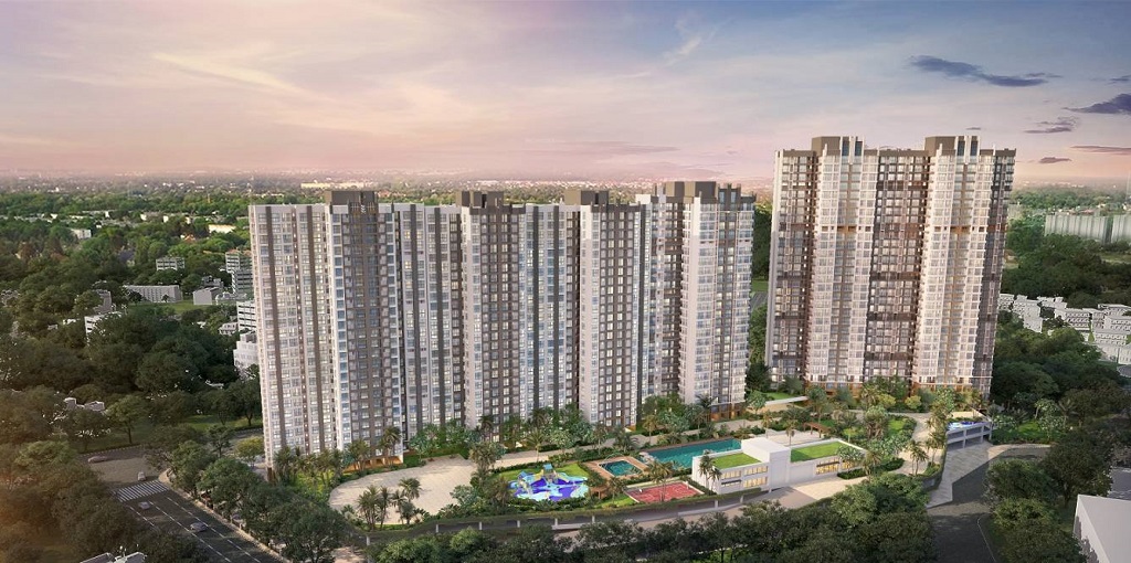 Risland The Icon Phase 5