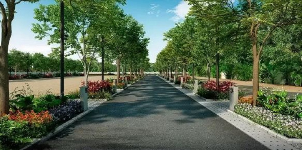 Total Classic Canaan