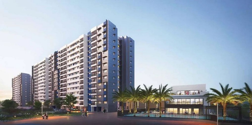 Orchids Adarsh Tropica