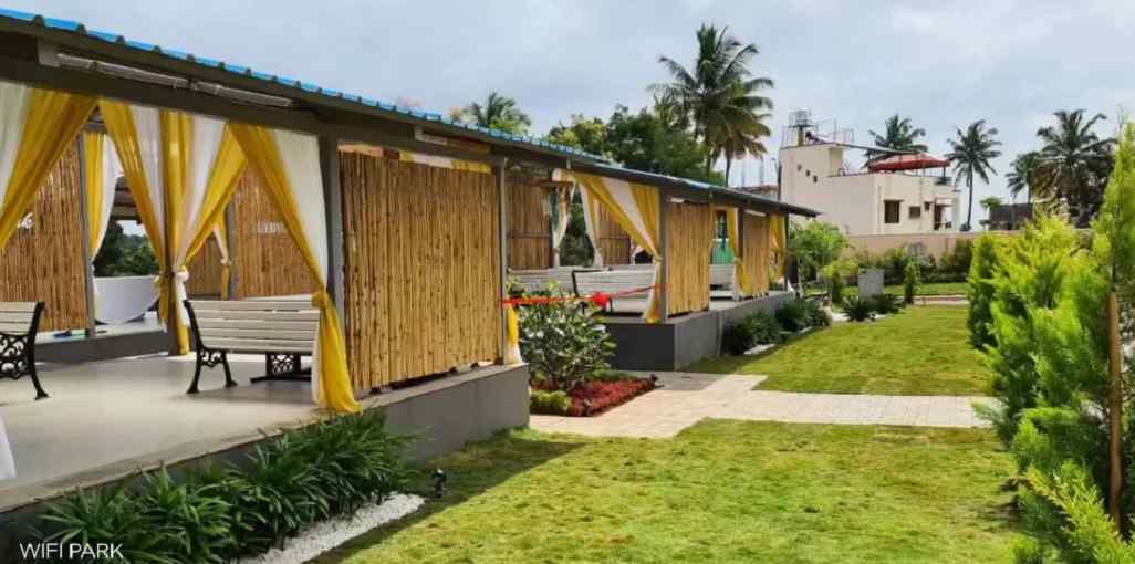 Pionier Mapple Avvenue