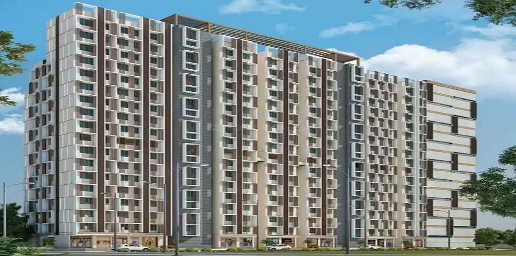 D T Amarsons Entallia