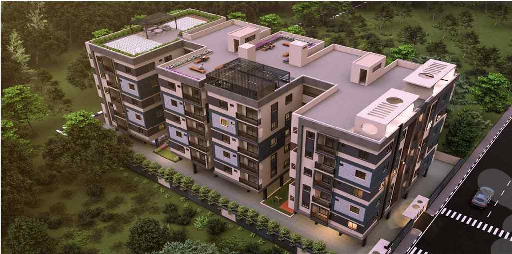 Shreeven Silver Nests