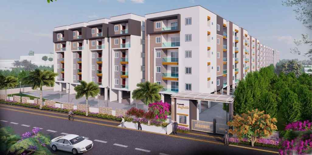 Praneeth Pranav Daffodils