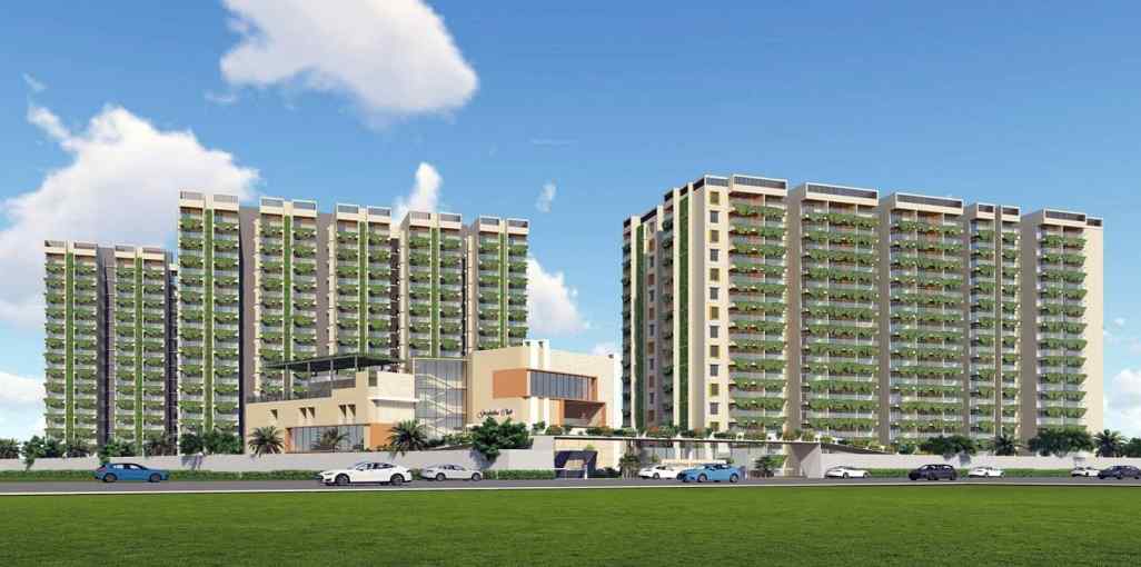 Gruhitha Spring Violet