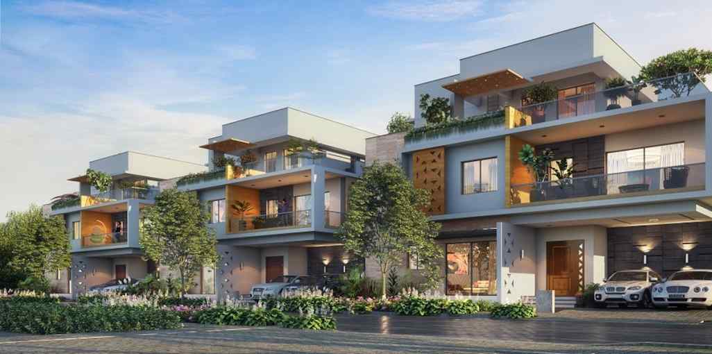 Vertex Kingston Park