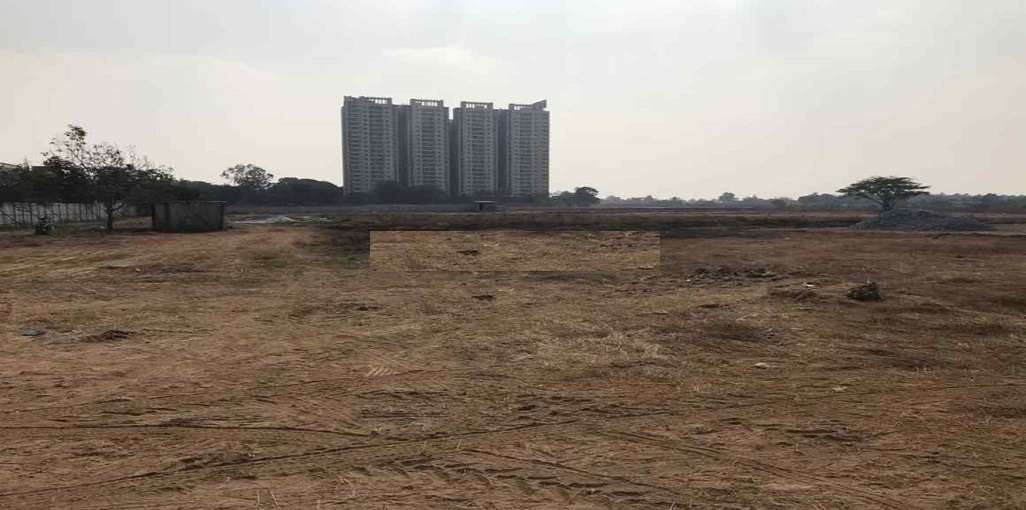 Aria Greens By Vars And Kens