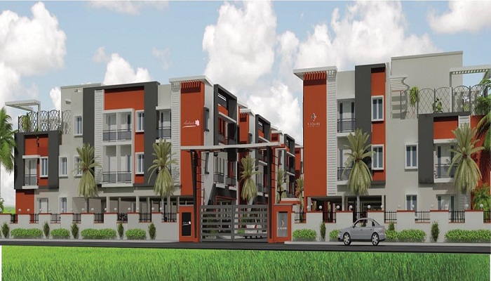 A Square Properties Ambrosia