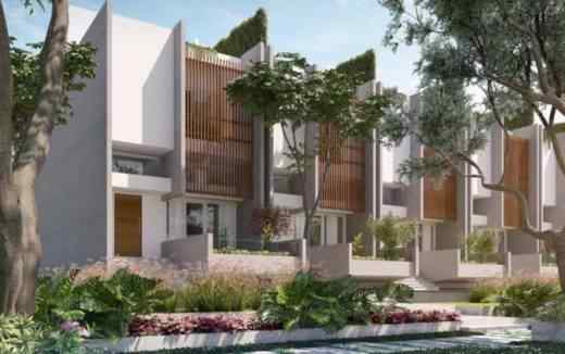 APG Leaves And Lives