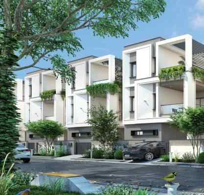 Kamala Amulya Greenlands