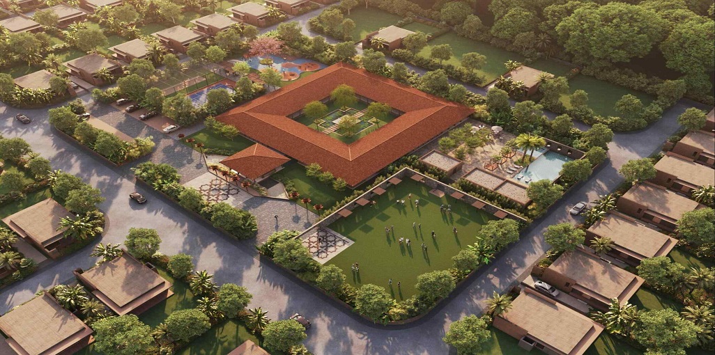 Rajyash Roseate Roots