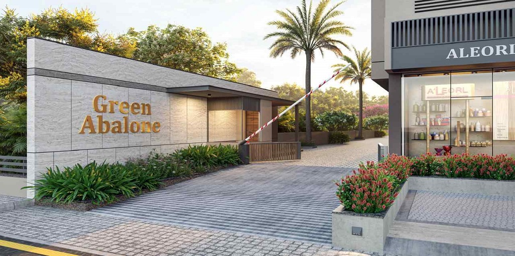 Siddhik Green Abalone