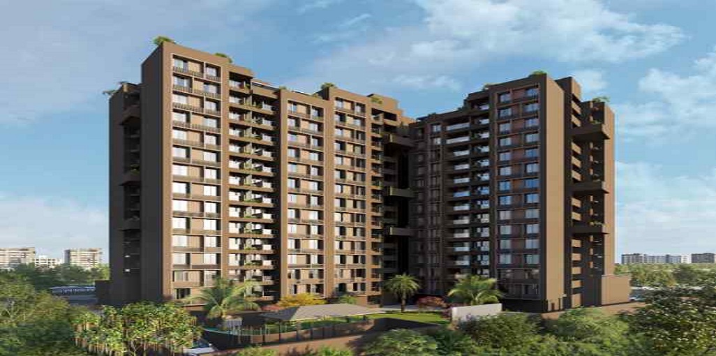 Amadius United Amaltas