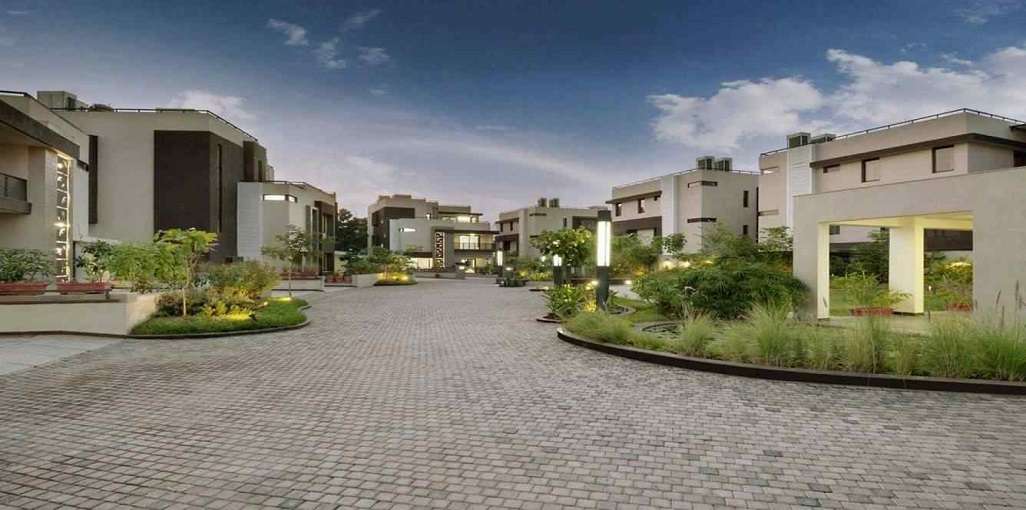 Elegance Earth Errita