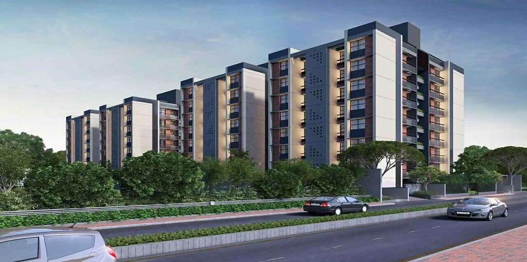 Loyal Olive Residency