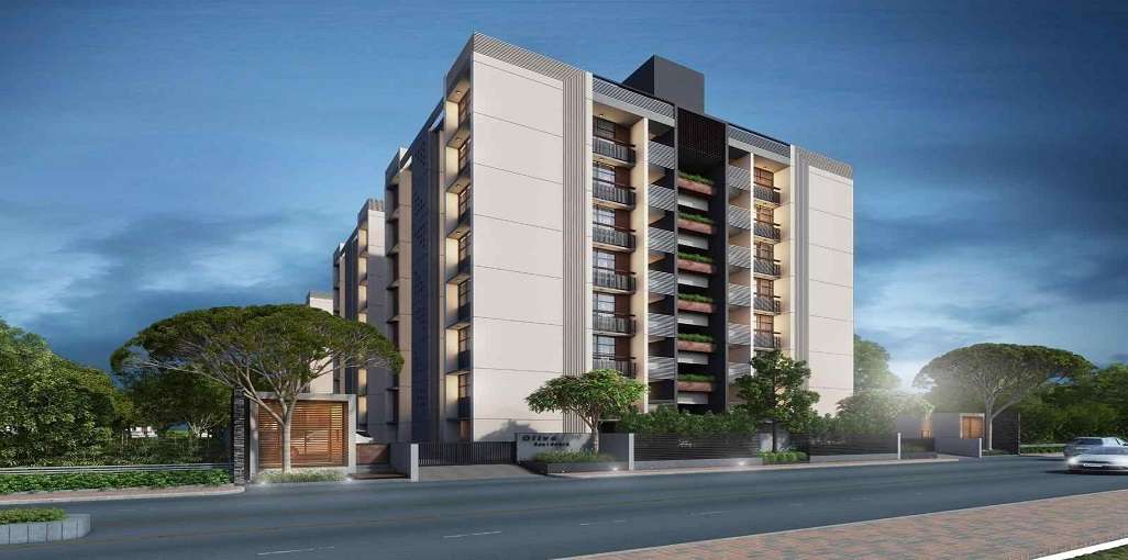 Loyal Olive Residency