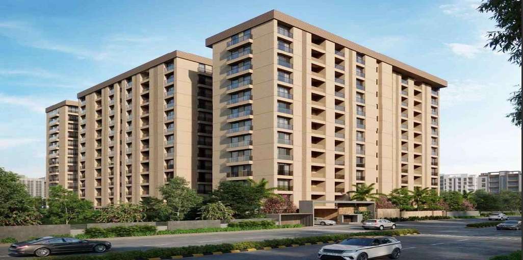 SL Bblossom The Presidency