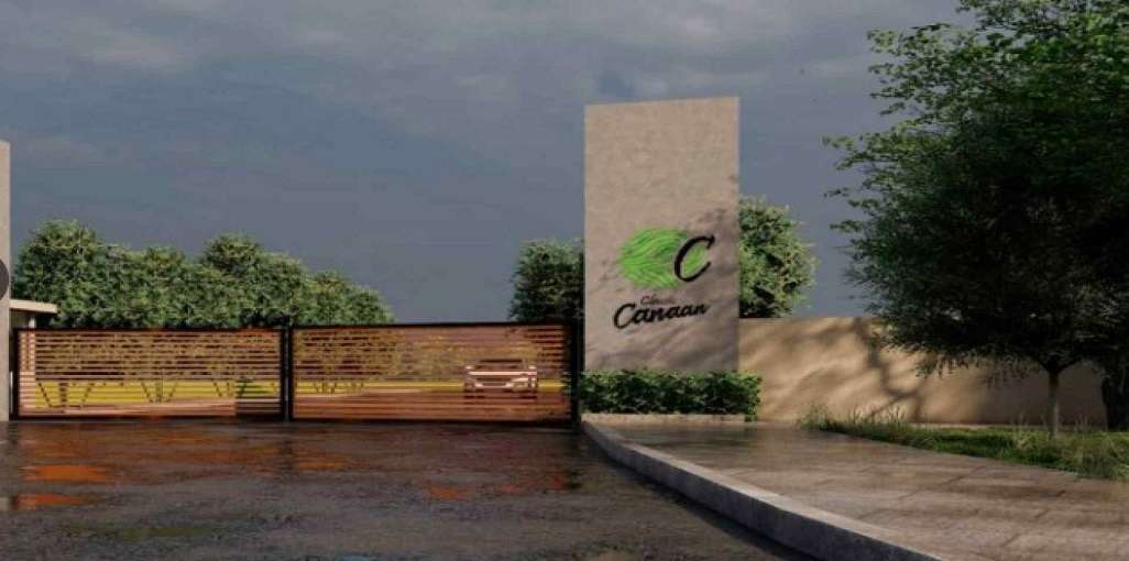 Classic Merusri Canaan